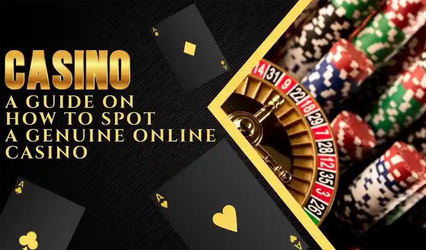 5 Things to Check Before Signing Up at an Online Casino